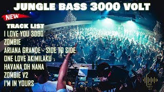 DJ JUNGLE DUTCH TERBARU 2019 | BASS 3000 VOLT  (INDO PARTY V.2)
