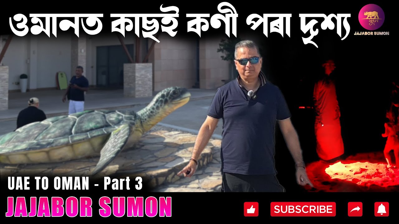 TURTLES LAYING EGGS IN OMAN || LIVE COVERAGE BY JAJABOR SUMON || 