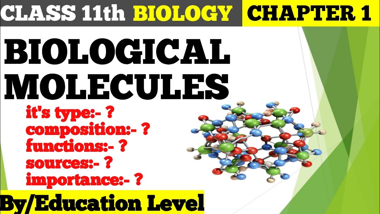 "Class 11 | Chapter 1: Introduction to Biological Molecules | Education Level Explained"
