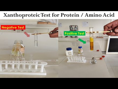 Xanthoproteic Test