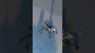 Ilha De Itamaracá visto por cima