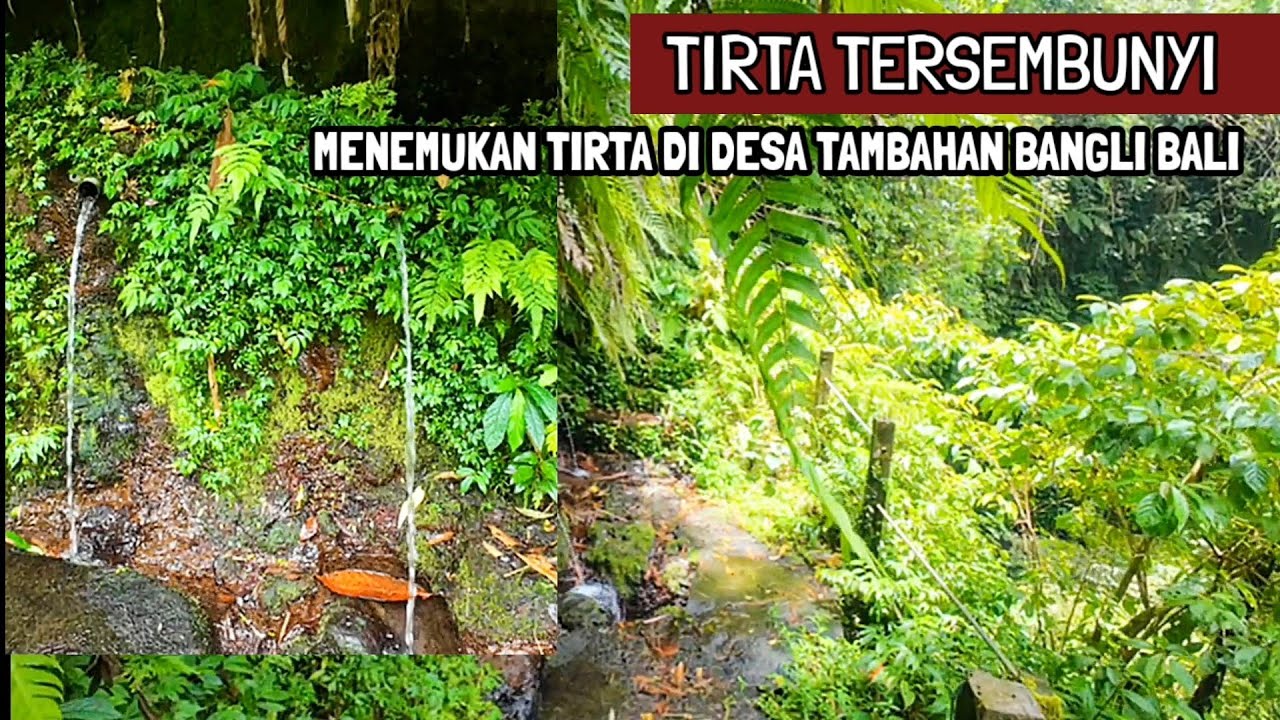 TIRTA TERSEMBUNYI DI DESA TAMBAHAN BANGLI BALI(3/3/2026)