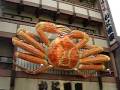 Crabe gant