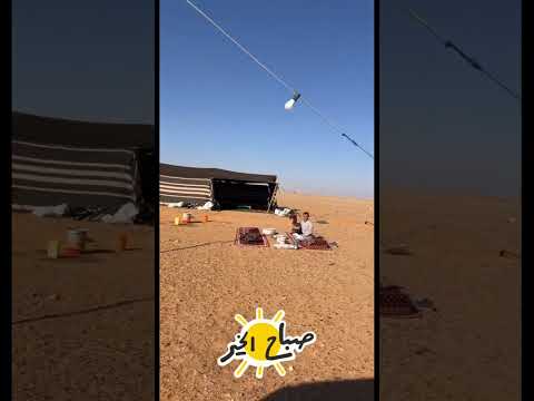 ايام المقناص اكسبلور ترند Trending Explore اكسبلورر Fypシ الشتاء