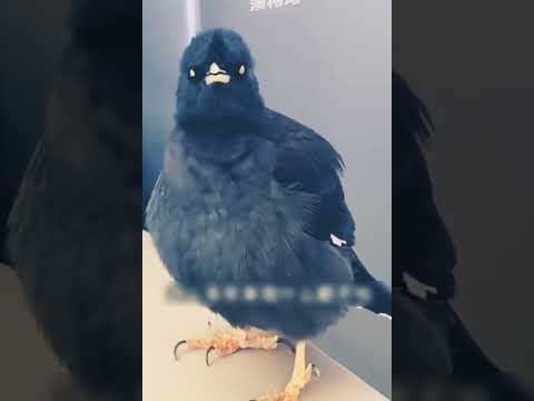 تذكير قوي بأن الله مطلع علي كل شي٠٠٠ فهل اعددت للسؤال جوابا الايه رقم 11 من سوره العاديات 