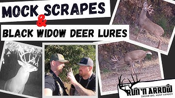 Making MOCK SCRAPES with Black Widow Deer Lures