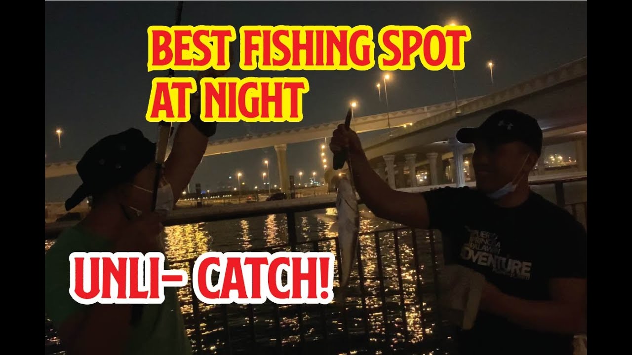 Ep. 05- Best Fishing Spot at Night- Dubai Canal D3 #dubaifishing #dubai #nightfishing
