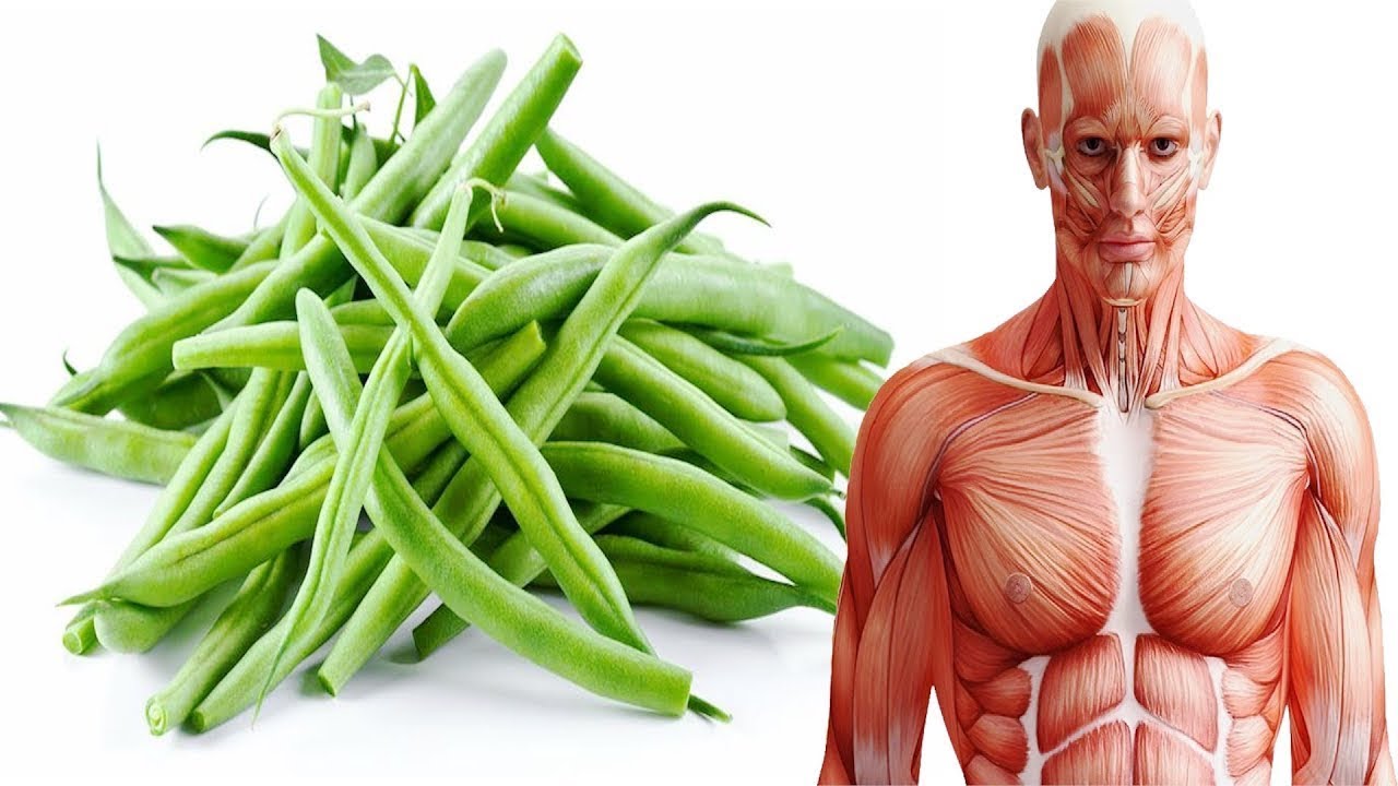 See What Happens To Your Body When You Eat Green Beans YouTube