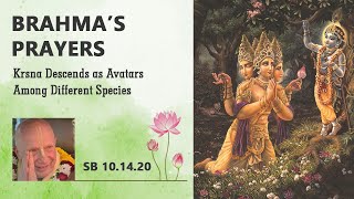SB 10.14.20 - Bhaktin Prachi Mataji 5th June -2026