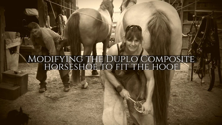 Shaping and Modifications to the Duplo Composite Horseshoe by Dr Katie Curry