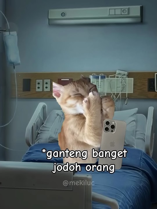 MK: begadang di rumah sakit #cat #lucukucing #memekucing #meme