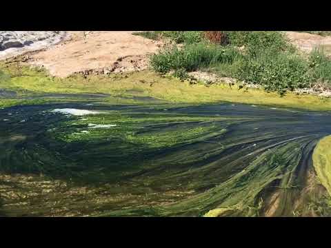 Kväverikt grundvatten Mar Menor