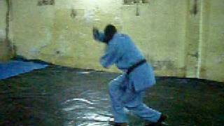 Senegalese Viet Vo Dao 5
