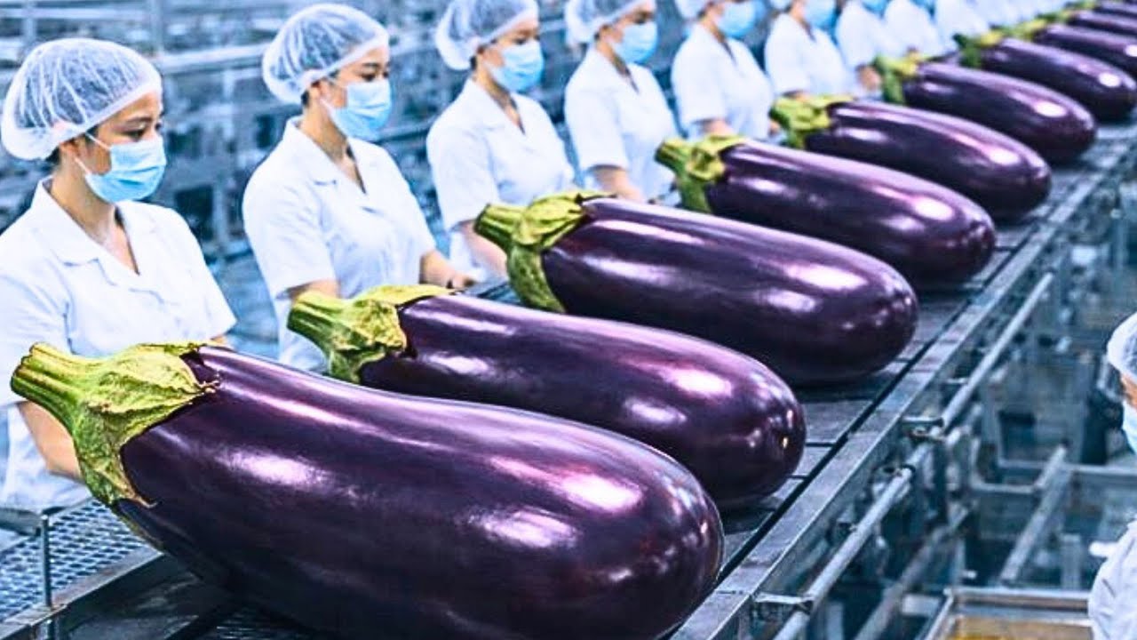 Inside Factory: How Eggplant Becomes Eggplant Snack | Full Process