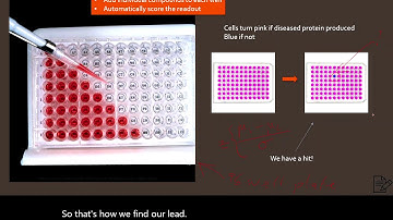 finding lead optimization