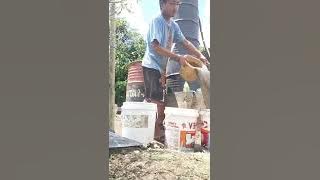 pangula. #torgabetrio angan-angan jaultop