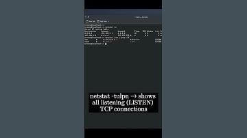 🐧 Linux CLI 31c 🐧 netstat command 🐧 #linux #shell #cli #konsole #ubuntu #fedora #opensuse