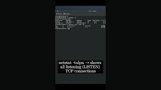🐧 Linux CLI 31c 🐧 netstat command 🐧 #linux #shell #cli #konsole #ubuntu #fedora #opensuse