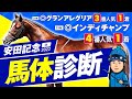 【安田記念 2022】２年連続で単勝10倍超の勝ち馬を◎本命推奨！マイル界に新星誕生だ！某大手牧場の元スタッフが見抜くGI馬体診断！GIフォトパドック【競馬 予想】