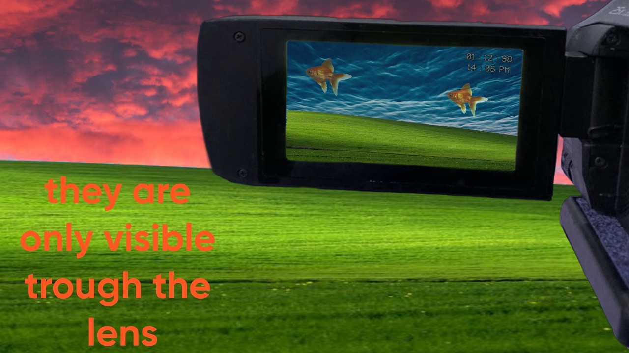 W H E R E   D O   Y O U   G O   W H E N  Y O U   S L E E P // DREAMCORE/liminal visuals + calm tunes