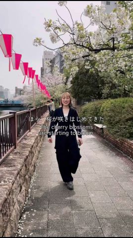 さくらも見納め🌸さくら / #ゆいにしお