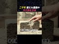 二千年耐えた建築の 天才的な方法
