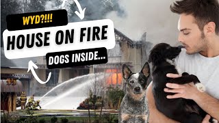 WHAT WOULD YOU DO, YOUR HOUSE IS ON FIRE AND YOUR DOG(S) ARE INSIDE?!!!