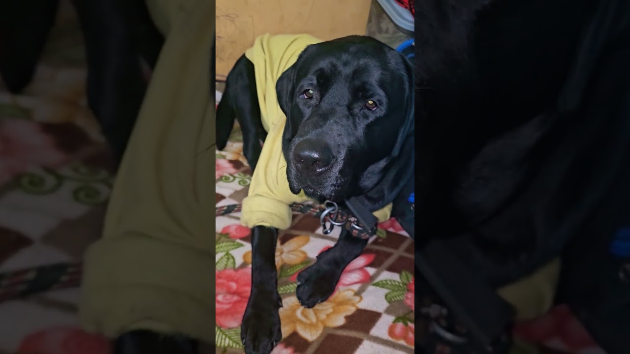 jao maaf kr diya 😅 