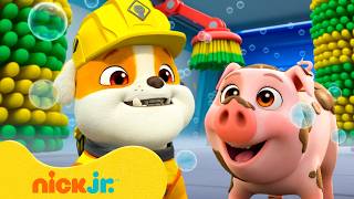 مشاريع روبل الكبيرة ومرح الحيوانات! 🐶🐮 | ساعة واحدة | Nick Jr. Arabia