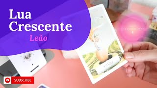 🌗 LUA CRESCENTE 🌗 Seja flexível ❤️ Abra-se à sincronicidade do mistério 🧿 #tarot #luacrescente