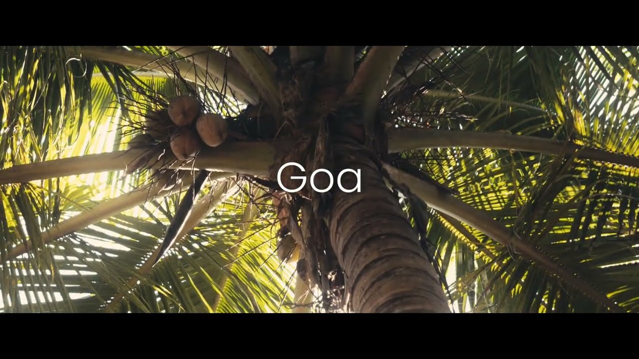 Goa Cinematic Travel Video Shot On Panasonic Lumix G9