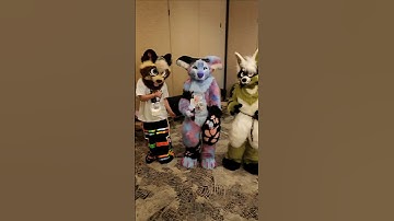 How did we do dancing this trend? #Furry #fursuit
