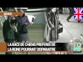 La race de chiens préférées de la reine pourrait un jour disparaitre?