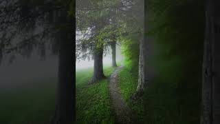 soothing relaxation,meditation music,relaxing music,relaxing channel # 1286