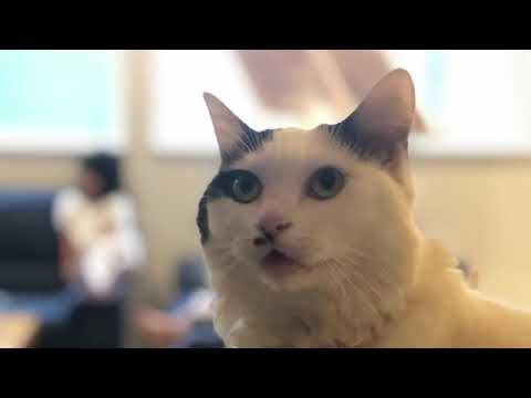 【木管三重奏＋ピアノ】いい日旅立ち