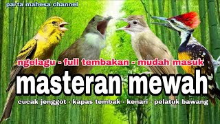 Kombinasi Suara Burung Masteran CUCAK JENGGOT - KAPAS TEMBAK - KENARI - PELATUK BAWANG