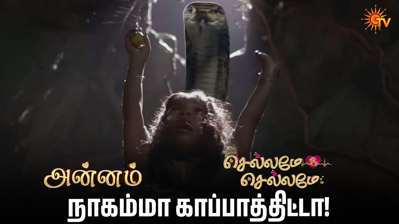 நாகம்மா காப்பாத்திட்டா! | Annam & Chellame Chellame - Mahasangamam -Semma Scenes |15 May 2026|Sun TV