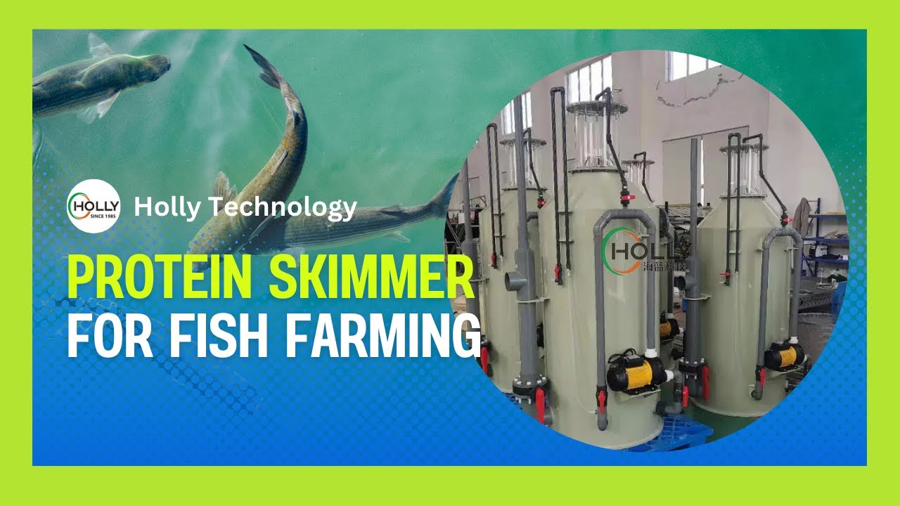 Protein Skimmer for Fish Farming | Essential Filtration for Clean Water