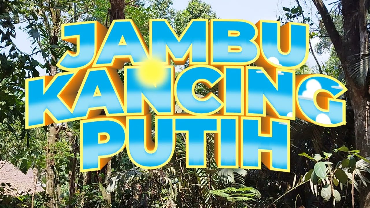 Jambu Air Kancing Putih