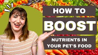 6 Ways to Boost Nutrients in Your Pet's Food (No Matter What You're Feeding)