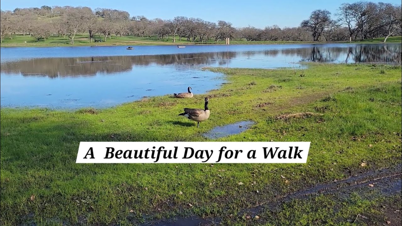 Scenes from my walk today to the lake Rockville Hills Park YouTube