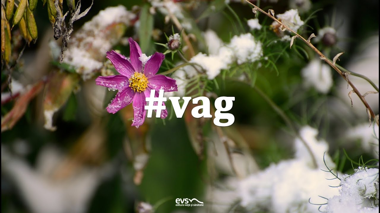 Vag