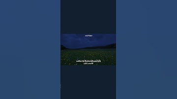 -سورة النجم ’ #اجر_لي_ولكم #قرآن_كريم .