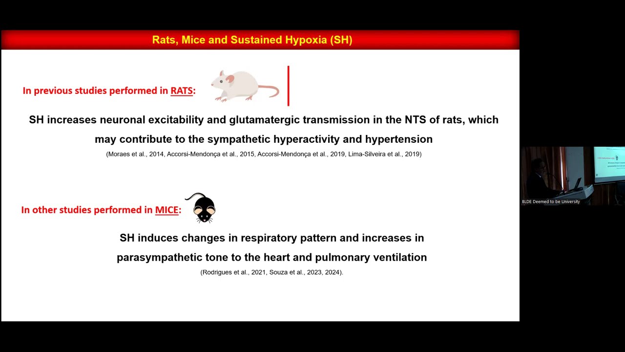 Guest Lecture on Neuro-Astrocyte Interaction in the Brainstem of Mice Exposed to Hypoxia 8-10-2025