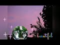ピンク色に染められた空の下で。。💗『チワワ姉妹』Under the pink-dyed sky 『chihuahua』