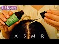 ☘️ASMR Scalp Massage☘️Help You Fall Asleep Fast✨Calm Your Mind😌💤No Talking