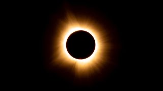 Springtime at Snake Road and the 2024 Total Eclipse! ￼