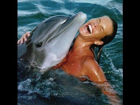 Dolphin Has Sex 31