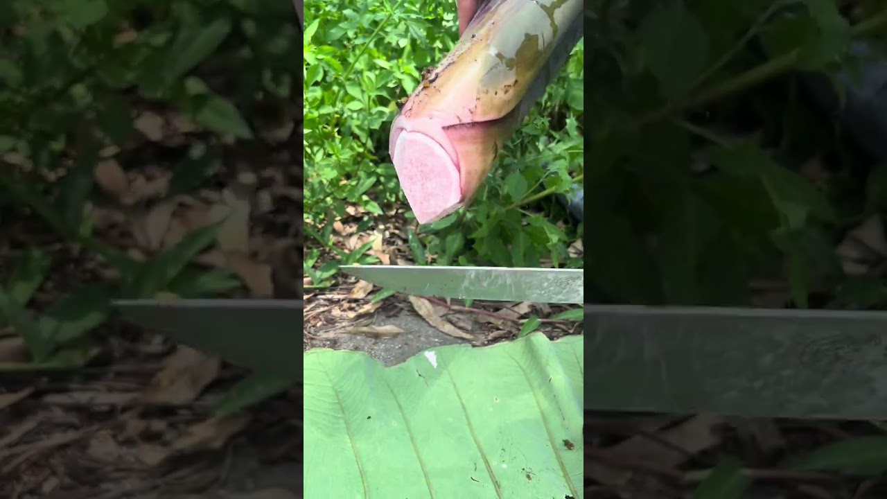 The immersive crop cutting experience makes every cutting easy and comfortable.