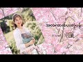 အလကားပေးတဲ့ပန်း_ Bo Phyu(ဘိုဖြူ) (Lyrics Video)